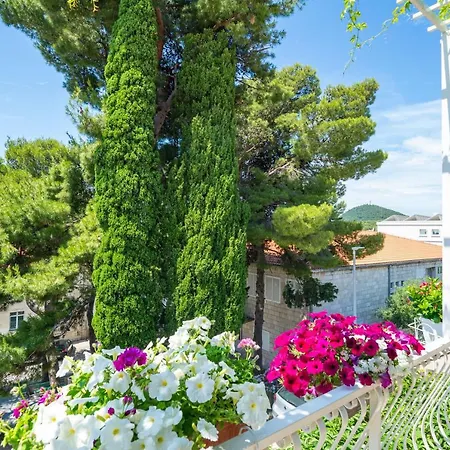 Ivka Apartment Dubrovnik